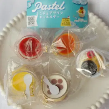 [전부 갖춰져 있습니다] Pastel 미니어처 푸딩 키링 [전 5종]