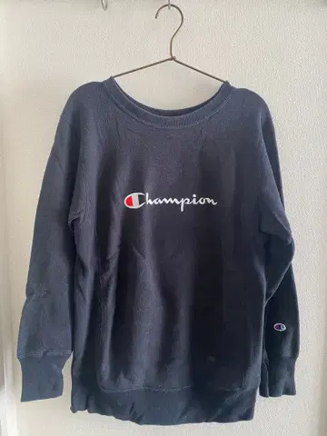 Champion Undefeated 리버스 위브 M