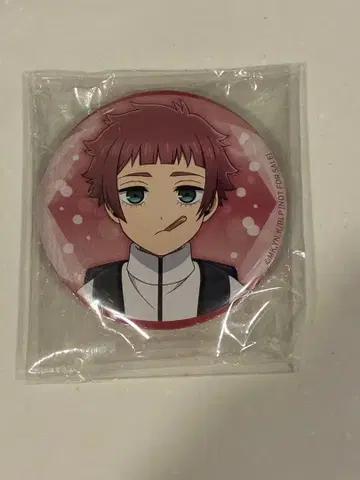 블루 록 Blu-ray 애니메이트 전권 구매 혜택 이토시 사이 캔뱃지