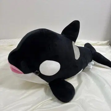 고베 스마 월드 2등 범고래 봉제 인형