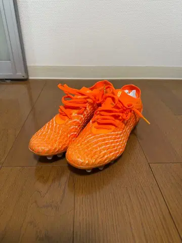 UA 마그네티코 엘리트 5 FG