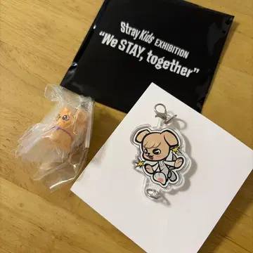 Stray Kids Exhibition 키링 세트