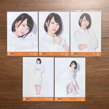 이코러브 노구치 이오리 하나마루 우동 콜라보 브로마이드 컴프