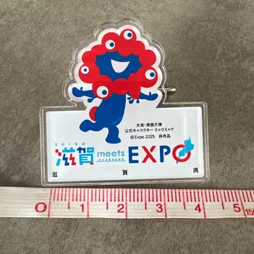 시가 meets EXPO 2025 핀 배지