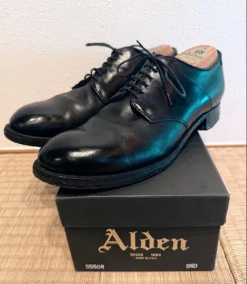 Alden anatomica 별주 55609 9D
