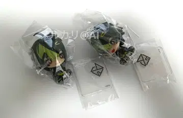 니지산지 디티카 이나미 라이 니지코토