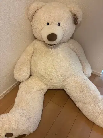 코스트코 곰 봉제 인형 테디베어 화이트 (크림 베이지)