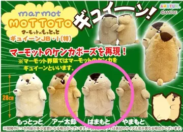 마모트의 모토토 구이인 점보 하마모토