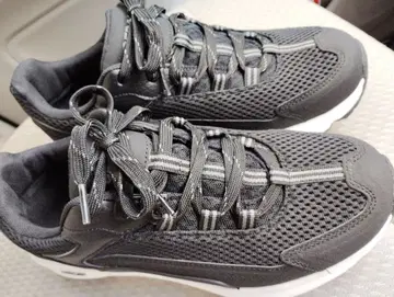 시더 크레스트 스니커즈