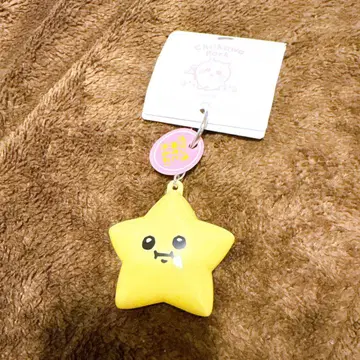 치이카와 파크 라이트 키링 별