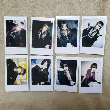 SPLENDID GOD GIRAFFE 슈토 폴라로이드 8장 세트