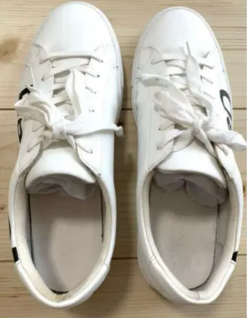 Re ZARD 리자드 스니커즈