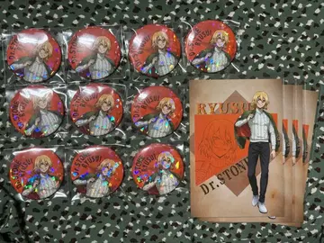 Dr.STONE 스키마스토어 캔뱃지 류스이 플라이트 자켓 독스트