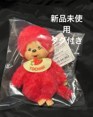 sekiguchi 지역 한정판 몽치치 도치기 딸기