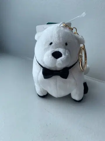 SPY x FAMILY AfternoonTea 콜라보 본드