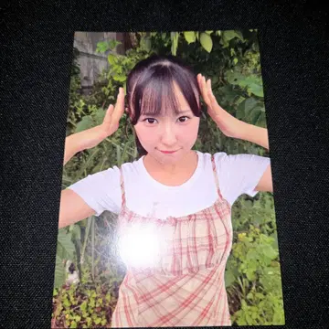 당선품 타카네노 나데시코 오리지널 엽서 이 세상은 거짓말로 이루어져 있다