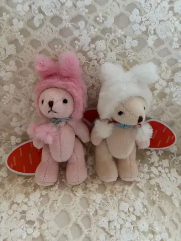 타리즈 베어풀 토끼