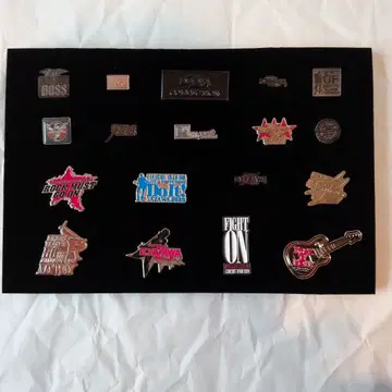 야자와 에이요시 님 핀배지 18개 케이스 포함 미사용에 가까움