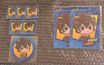 이나즈마 일레븐 안드갤러리 엔도 하루 세트