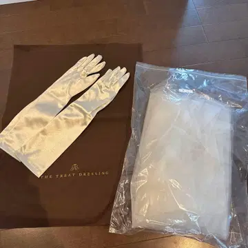THE TREAT DRESSING 아이보리 새틴 그로브 & 베일