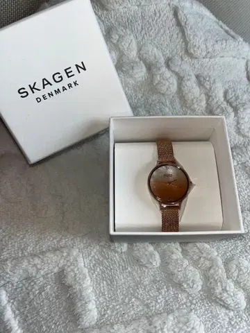 SKAGEN 브라운 아날로그 시계