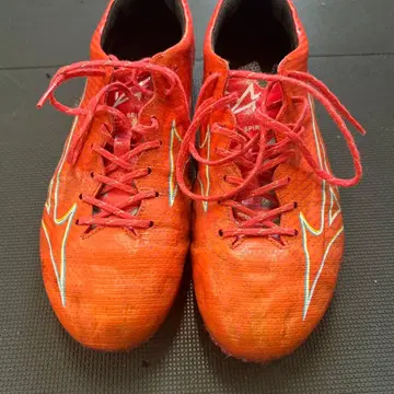 미즈노 알파 재팬