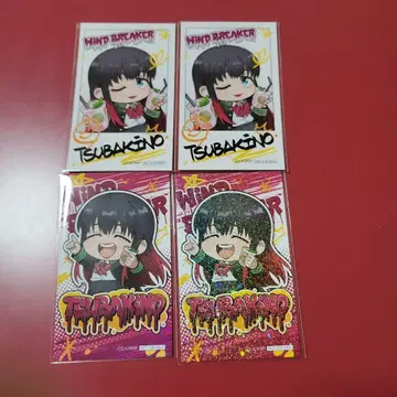 WIND BREAKER 윈브레 파보테리아 츠바키노