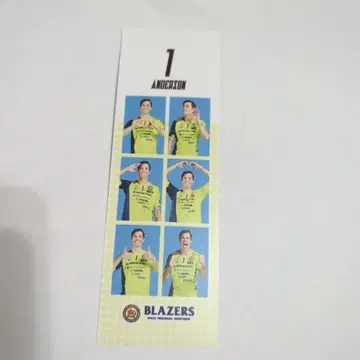 증명사진풍 스티커 앤더슨 선수