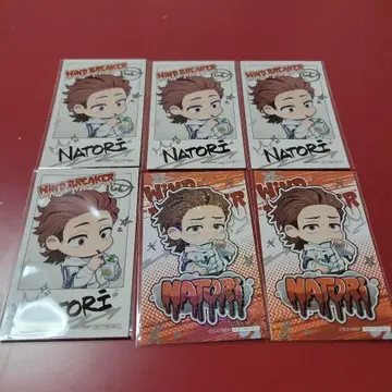 WIND BREAKER 윈브레 파보테리아 나토리