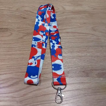 미야쿠미야쿠 넥스트랩 Panasonic