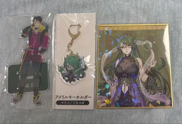 구치츠보 마다미스 세트