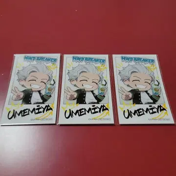 WIND BREAKER 윈브레 파보테리아 우메미야