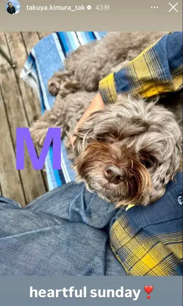 기무라 타쿠야 착용 RATS 25SS 코튼 린넨 체크 셔츠 M