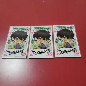 WIND BREAKER 윈브레 파보테리아 토카게