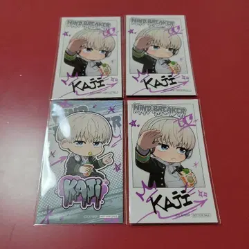 WIND BREAKER 윈브레 파보테리아 카지