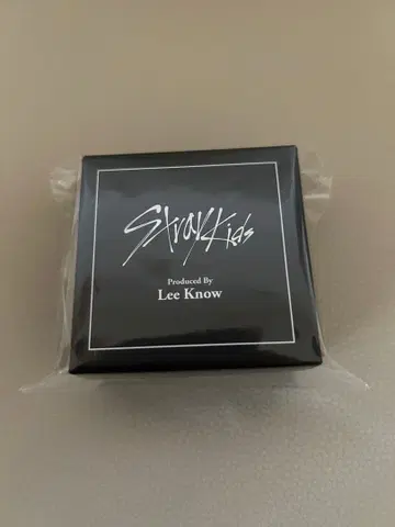 straykids 리노 쥬르미 RING SET