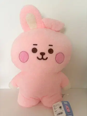 탓톤 L cooky
