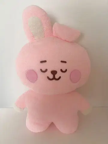 네톤 L cooky