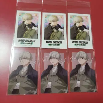 WIND BREAKER 윈히로 카지