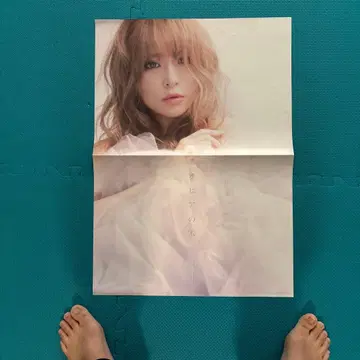 하마사키 아유미 Dreamed a Dream 포스터