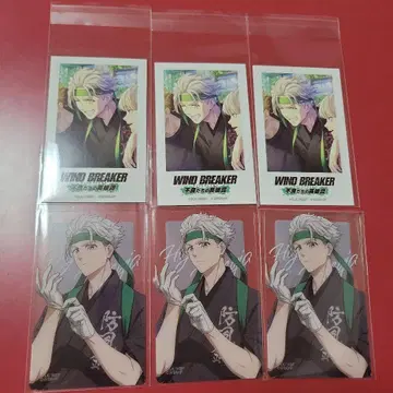 WIND BREAKER 윈히로 우메미야