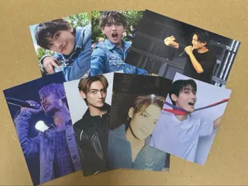 watwing 타카하시 소