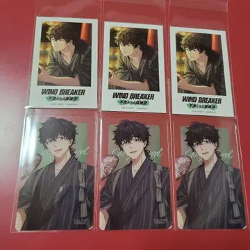 WIND BREAKER 윈히로 토카게