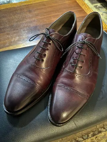 셰틀랜드 폭스 아버딘 8 1/2 E