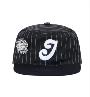 2didiotslabel STRIPED PILLBOX CAP