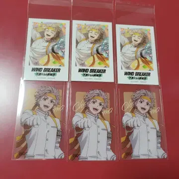 WIND BREAKER 윈히로 토끼 귀 산