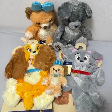 미사용 새상품 유니베어시티 원더풀 월드 레이디 카드놀이 코스튬