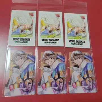 WIND BREAKER 윈히로 토끼 귀 산