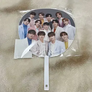 SEVENTEEN 세부치 HARE 부채 부채 집합