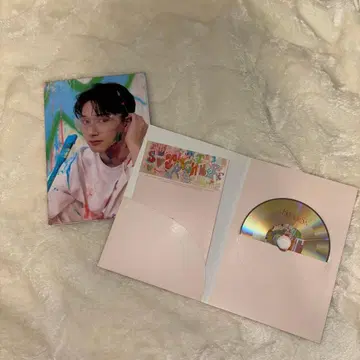 SEVENTEEN FACE THE SUN 4번째 앨범 carat ver